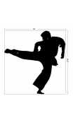 Sticker mural karate